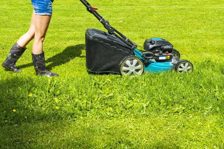 Why Does Your Lawn Look So Bad? 6 Mistakes You’re Making